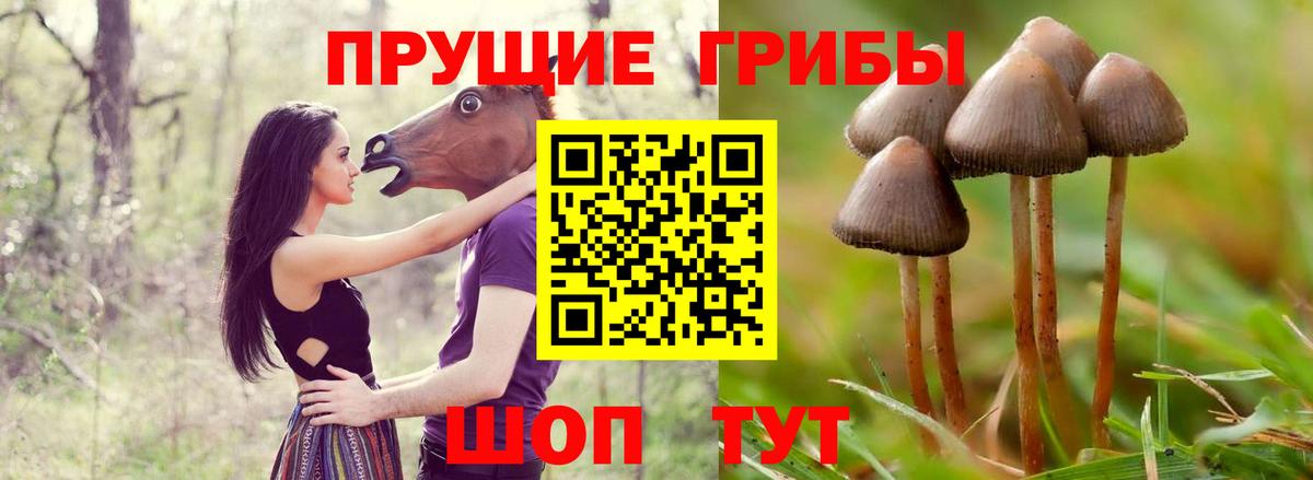 Галлюциногенные грибы мухоморы  Вход с VPN  купить  цена  Псилоцибиновые грибы Psilocybe  Борисоглебск 